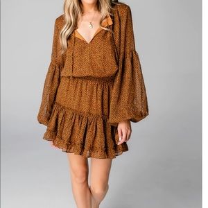 Long sleeve leopard dress